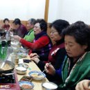 최종순농장 Daum카페