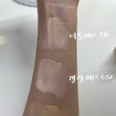 하이24H | 디올 포에버 24H 웨어 하이 퍼펙션 파운데이션 ON 후기 (겔랑매트와 비교)