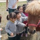 경기도축산진흥센터 이미지