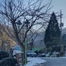 엔젤 식물원 이미지