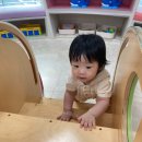 297 | +297일(후기이유식28일차)_20250913