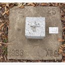 웅천삼거리 이미지