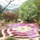 승마체험코스 이미지