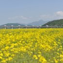 이포보 강변 이미지