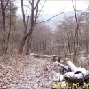 장동초교 이미지