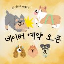 하이파이브 독스 이미지