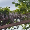 부산도시철도 다대포항역 이미지