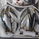 경북상회 이미지