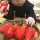 나길농장 이미지