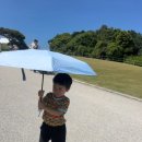 거북이 | 일본 오키나와 츄라우미수족관 거북이 후기