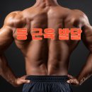 라이프짐 휘트니스 이미지