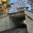 건강탕 | 끌리는 대로 따라가 보면 돼