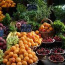 포레스트 다이어트 이미지