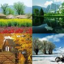 춘전목장 이미지