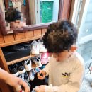 대구곤충마트 | 대구 수성구 곤충마트. 장수풍뎅이~ 사슴벌레 구매(주차장소, 영업시간)