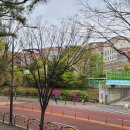 관곡초등학교 이미지