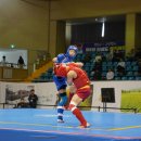 태극무술관 이미지