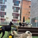 프로네앞마당 이미지