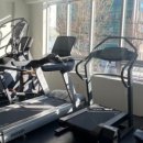 핏티스트 이미지