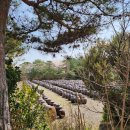 정월골프클럽 이미지