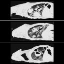 부천종합동물병원 이미지