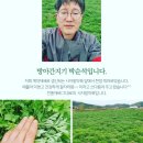 조양떡방앗간