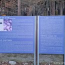 조내기고구마 역사공원 이미지