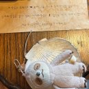 중앙프라자1화장실 이미지