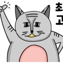 오케이고기밥상