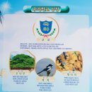 죽화초등학교 이미지