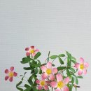 넷박스 네이버블로그