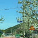 카누마을 캠핑장 앞 | 홍천 오도치 캠핑장 B 사이트 후기 | 헬리녹스 노나돔 세팅