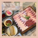 팔딱팔딱횟집 | 부산 서면 전포 대방어 맛집 팔딱팔딱 횟집 재방문 솔직후기