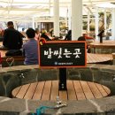 유성온천개발