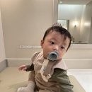 다다슈슈