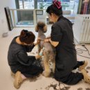 더독그루머스 이미지