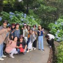 제주도민 양기사