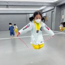 북항비룡태권도장 이미지