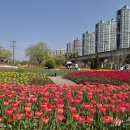 낙동강관리본부 화명생태공원 11 뉴스1