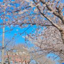 서광리-26 이미지