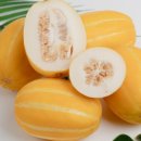 성주우체국 이미지