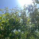 한옥(강산재) 이미지