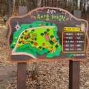 운암지 유아숲체험원 이미지