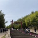 죽녹원로 | [ 전남 담양 죽녹원 ] 담양 가볼만한곳 대나무 숲 입장료 주차장 오리배 후기