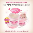 베이비 피그 Baby Pig 이미지