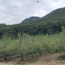 진선농장 이미지