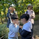 참솔편의점