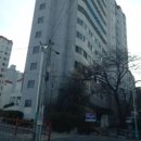금류비디오