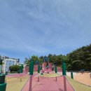 대구동산초등학교 | 수성구 아이와 가볼만한곳! 어린이세상 옆 숲속 모험 놀이터 방문 후기