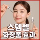 세기스템셀 이미지